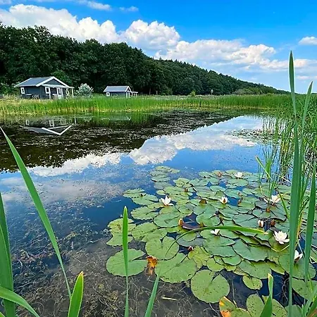 De Diepen Orman Evi *