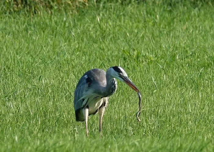 De Diepen Lodge Milsbeek