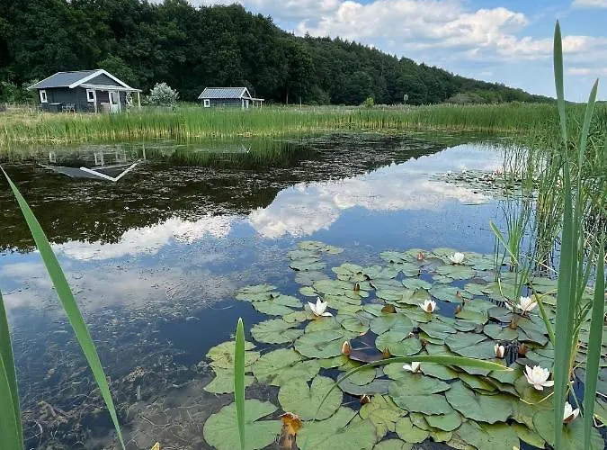 De Diepen Lodge Milsbeek