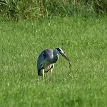 De Diepen 롯지 Milsbeek